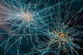 人工智能软件RESPAN:3D解析脑细胞结构的突破