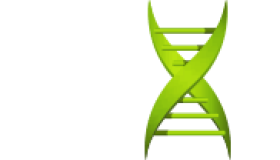 AI平台设计分子导弹:精准打击癌细胞的新突破 AI平台设计分子导弹:精准打击癌细胞的新突破