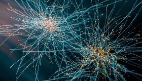 人工智能软件RESPAN:3D解析脑细胞结构的突破 人工智能软件RESPAN:3D解析脑细胞结构的突破