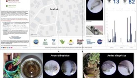 AI与公民科学助力发现马达加斯加入侵性疟疾蚊子 AI与公民科学助力发现马达加斯加入侵性疟疾蚊子
