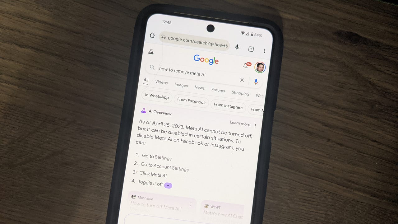 图片 1：谷歌 AI 概述