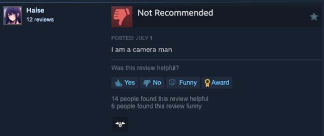 图片 7：Steam 评论，内容为“我是一名摄像师”