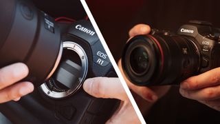 图片 6：手持佳能 EOS R1 和 EOS R5 Mark II 相机