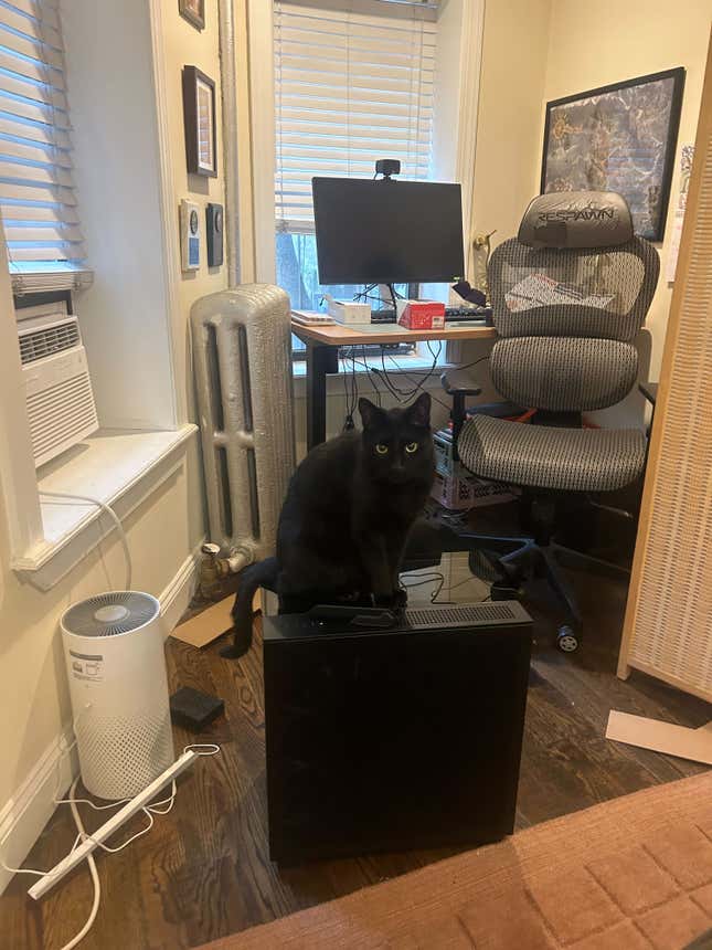 图片 1：一只猫坐在 PC 塔上。