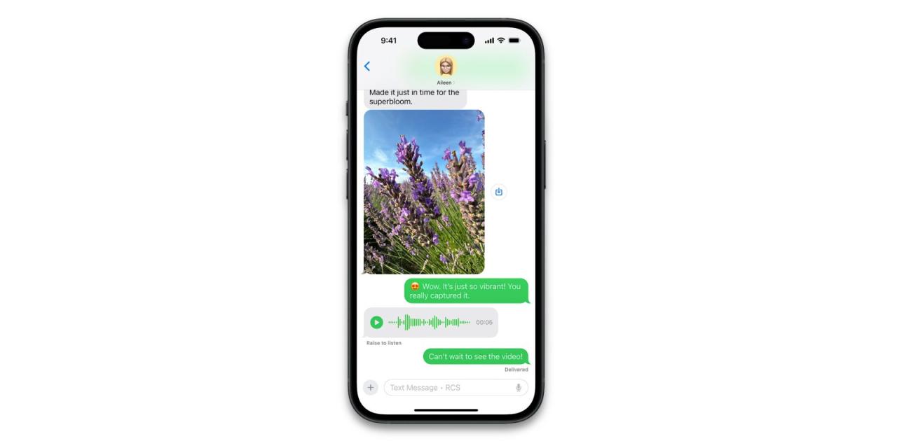 iOS 18 中如何检查运营商是否支持 RCS