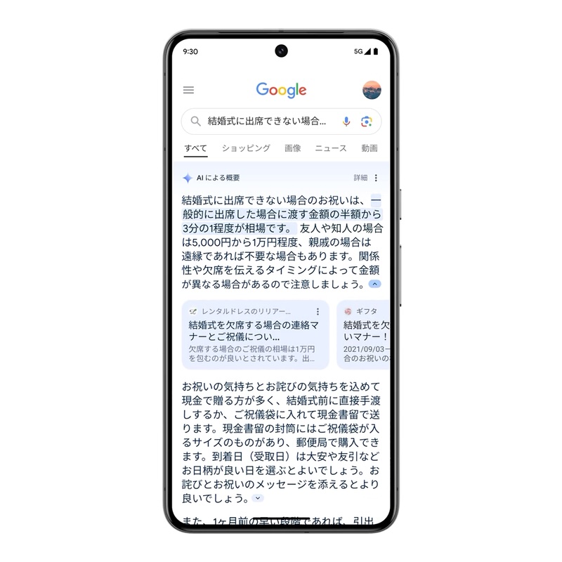 日本 AI 概览功能图片