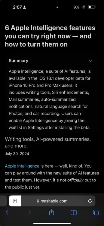 iOS 18.1 开发者测试版中的 Safari 总结工具
