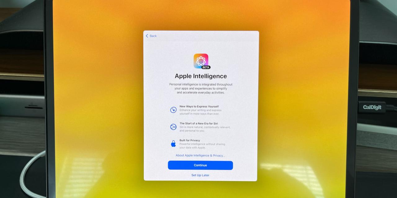 iPadOS 18.1 beta 3 中的苹果智能设置