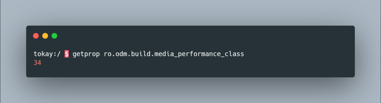 Pixel 9 媒体性能等级 14