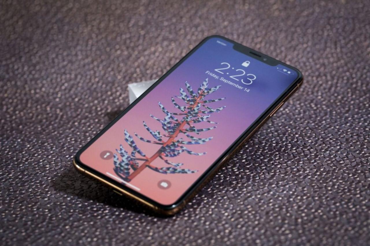 iPhone XS Max 在颗粒背景前