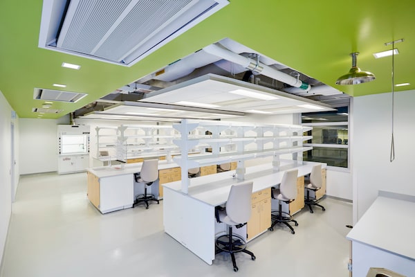 现代实验室设计:如何适应不断变化的研究需求 现代实验室设计:如何适应不断变化的研究需求