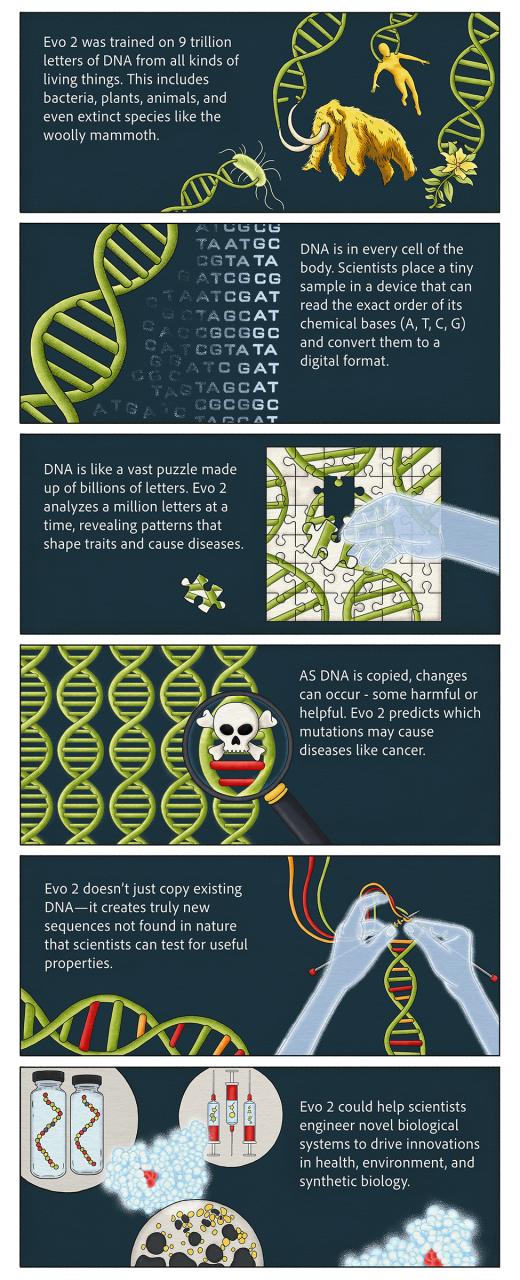 生成式 AI 工具 Evo 2:生物医学研究的革命性突破 生成式 AI 工具 Evo 2:生物医学研究的革命性突破