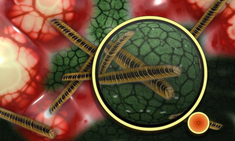 人工智能如何揭示细菌三十亿年进化史:一万亿物种的奥秘 人工智能如何揭示细菌三十亿年进化史:一万亿物种的奥秘