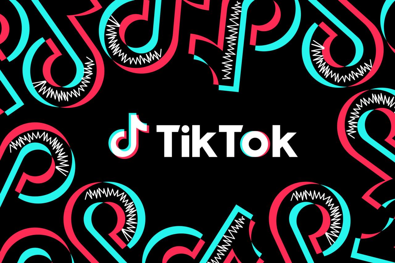 TikTok 新工具“AI Alive”：AI 技术让照片秒变动态视频