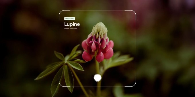 AllTrails 推出 Peak 高级会员服务:AI 赋能徒步与骑行体验 AllTrails 推出 Peak 高级会员服务:AI 赋能徒步与骑行体验