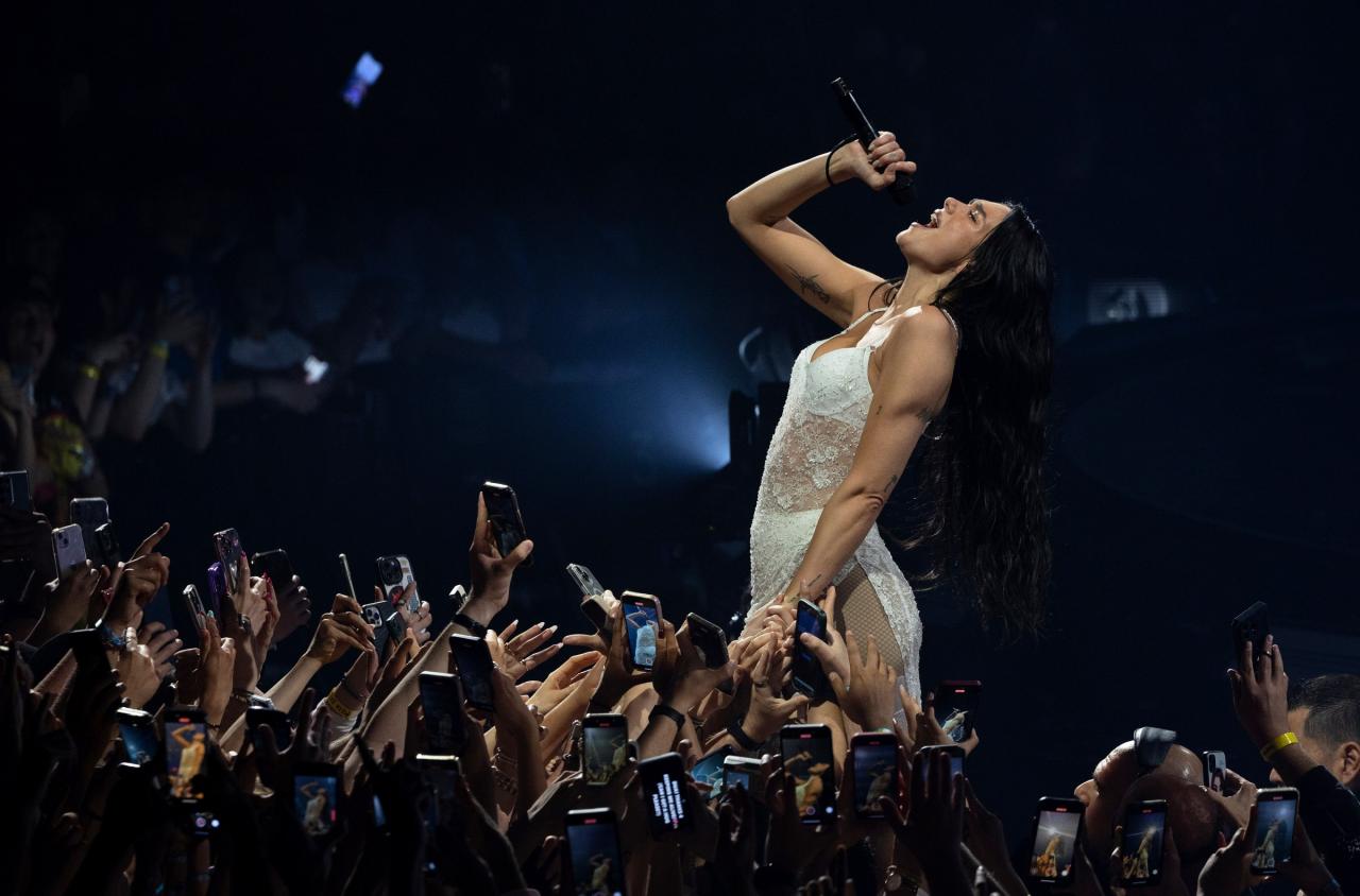 保罗·麦卡特尼与杜阿·利帕联手推动 AI 版权透明度立法 保罗·麦卡特尼与杜阿·利帕联手推动 AI 版权透明度立法