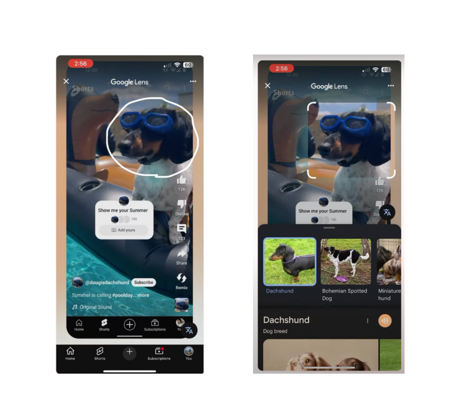 YouTube 新功能：Lens 登录 Shorts，视频搜索更智能