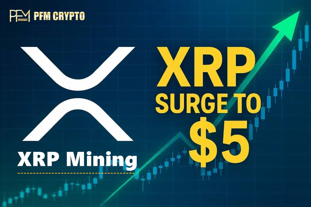 XRP 市场趋势