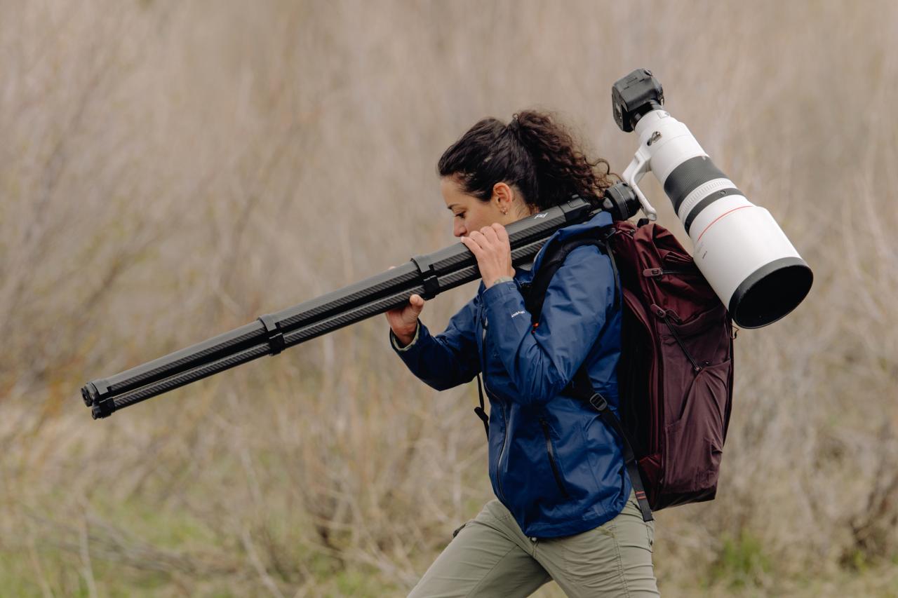 如何优化文章内容：SEO 最佳实践指南