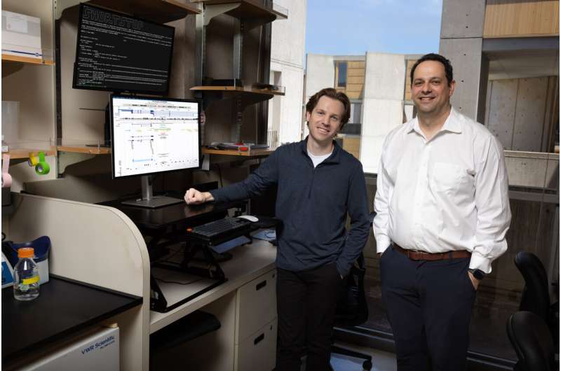 新 AI 工具 ShortStop 揭秘人类基因组暗面,助力微蛋白发现 新 AI 工具 ShortStop 揭秘人类基因组暗面,助力微蛋白发现