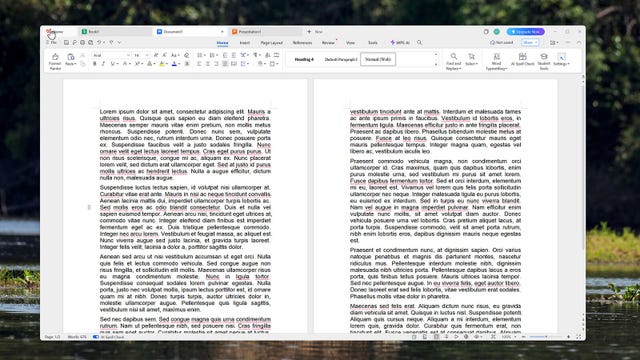 WPS Office