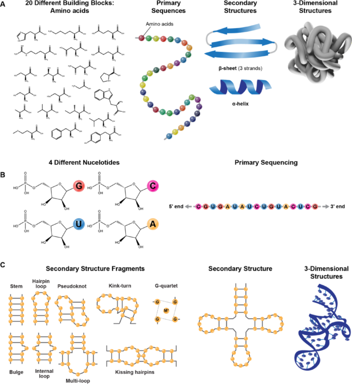 探索长链非编码 RNA 结构研究的新技术