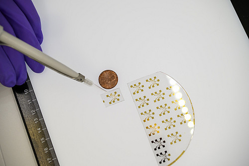 人工智能与声流体学:郭峰教授推动生物医学研究新突破 人工智能与声流体学:郭峰教授推动生物医学研究新突破