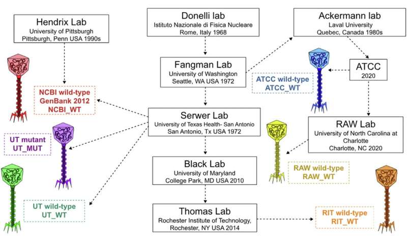 Phage G 的实验室历史，跨越了多个实验室 50 年的培养