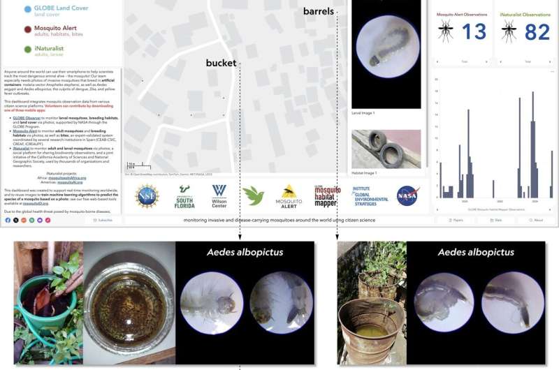 AI 与公民科学助力发现马达加斯加入侵性疟疾蚊子 AI 与公民科学助力发现马达加斯加入侵性疟疾蚊子
