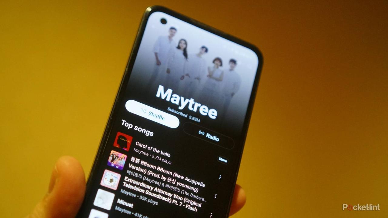 YouTube Music Premium