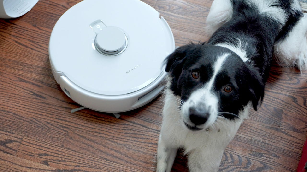 12 个提升家居智能的 Alexa 命令,无需订阅 12 个提升家居智能的 Alexa 命令,无需订阅