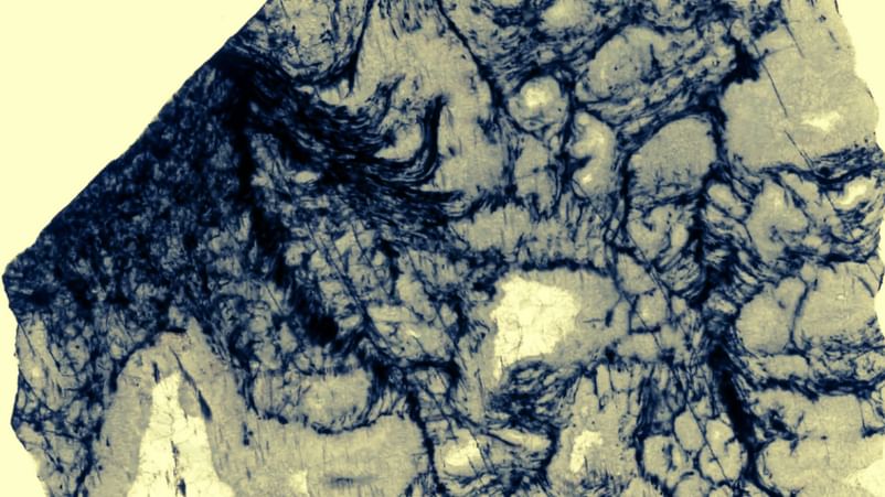 AI 技术突破:33 亿年前岩石中发现生命痕迹,为外星生命探索开辟新路 AI 技术突破:33 亿年前岩石中发现生命痕迹,为外星生命探索开辟新路