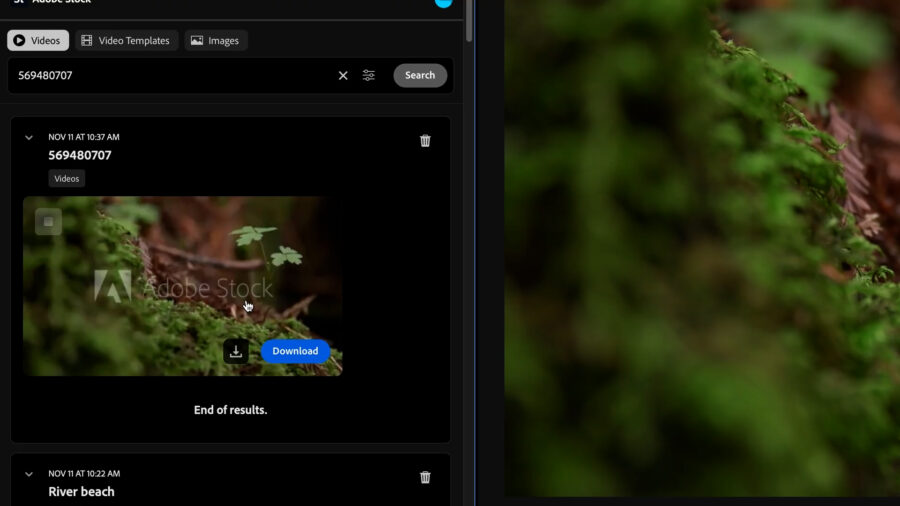 Premiere Pro 25.6.1 审查转录功能