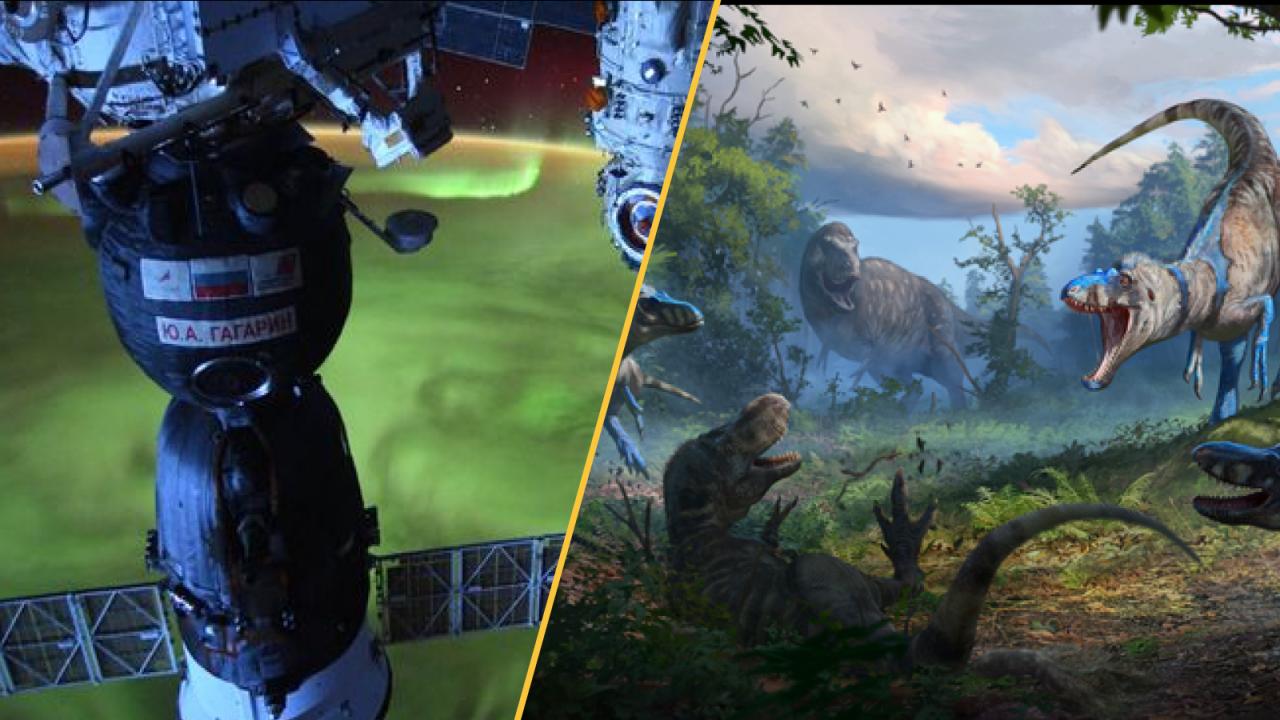 本周科学新闻：太阳奥秘、纳米暴龙争议与 AI 发展