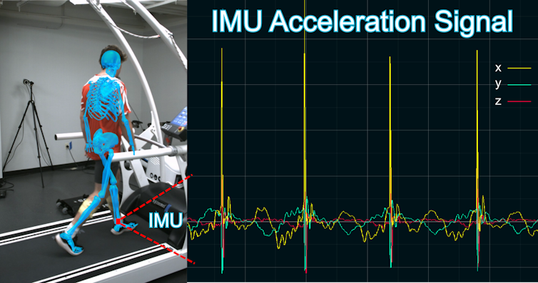 解密行走:从日常行为到生命体征的科学探索 解密行走:从日常行为到生命体征的科学探索