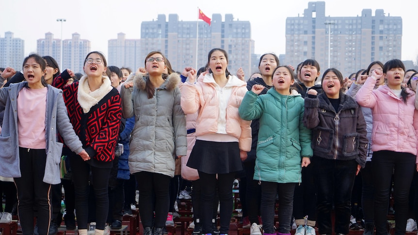 AI 监督作业成新宠：中国家长如何用技术缓解育儿压力