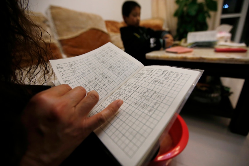 AI 监督作业成新宠：中国家长如何用技术缓解育儿压力