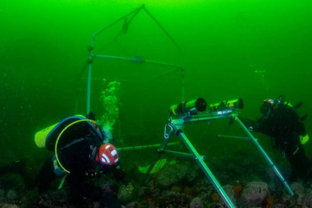 AI 技术助力生物学家识别鱼类独特叫声,准确率高达 88% AI 技术助力生物学家识别鱼类独特叫声,准确率高达 88%