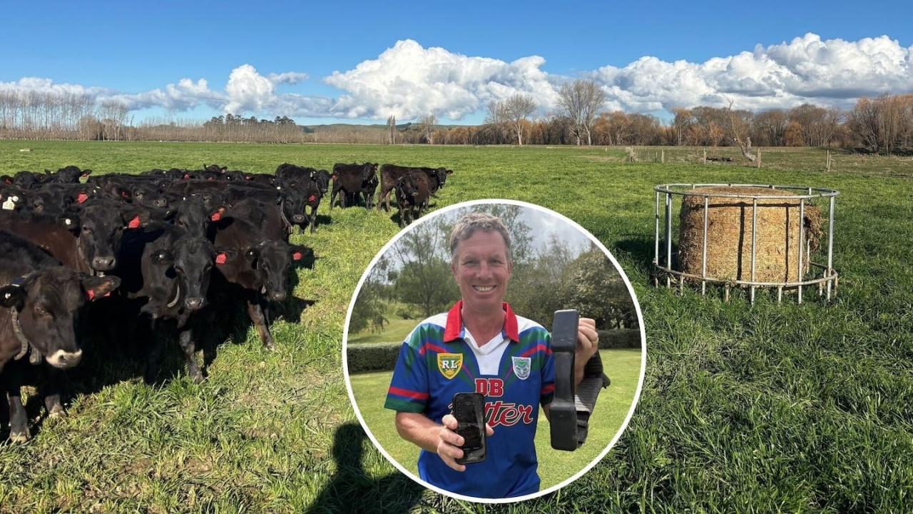 霍克斯湾农民用 AI 远程放牧，哥伦比亚度假也能手机管农场