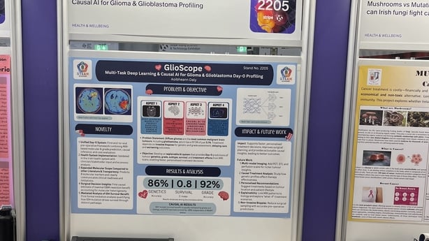爱尔兰中学生凭 AI 脑癌诊断工具获最高奖，改善脑癌治疗