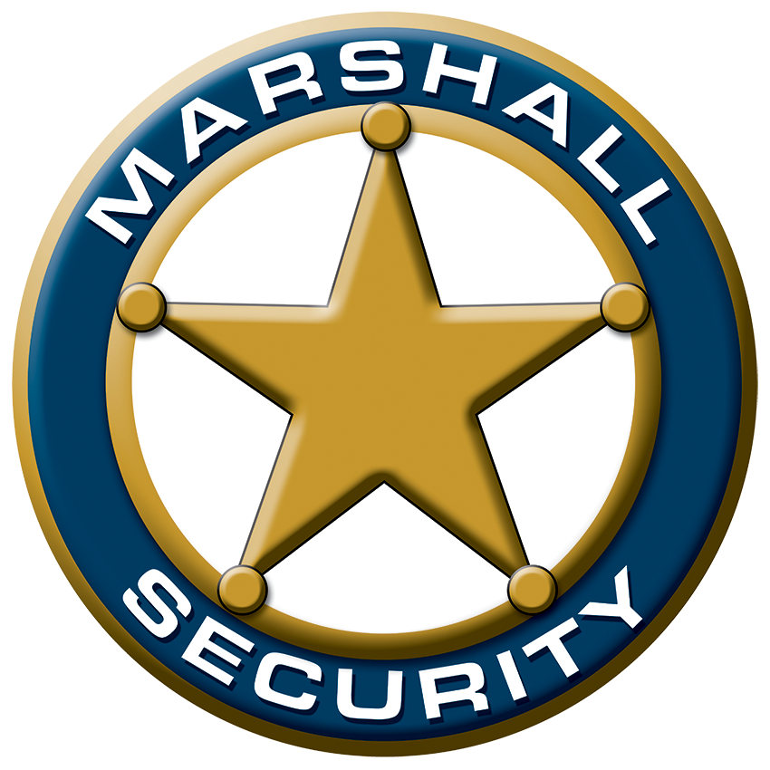 AI 摄像头实时锁定窃贼，南非安保公司凌晨擒获入室盗贼