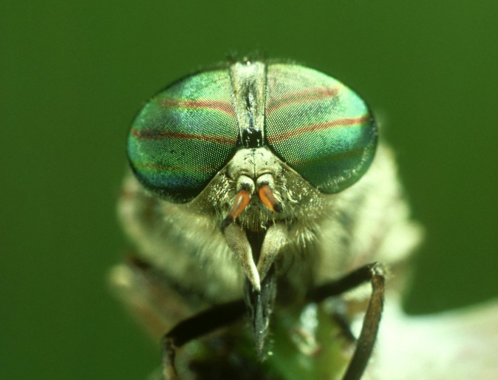 Linux 内核 20 年漏洞史分析:AI 工具 VulnBERT 如何以 1.2% 误报率精准预测漏洞 Linux 内核 20 年漏洞史分析:AI 工具 VulnBERT 如何以 1.2% 误报率精准预测漏洞