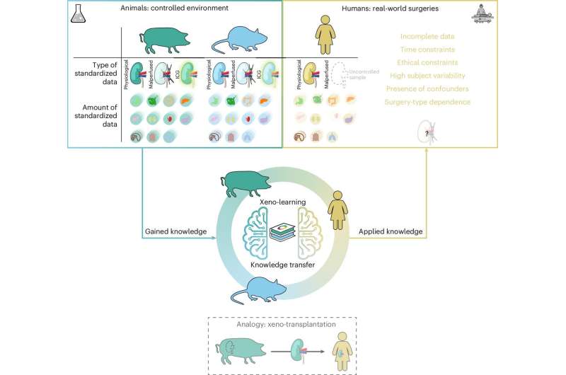 AI 向动物学习：提升手术成像的新方法，推动智能外科精准化