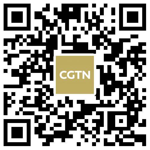 2025 年中国超越美国，成为全球最大人形机器人生产国