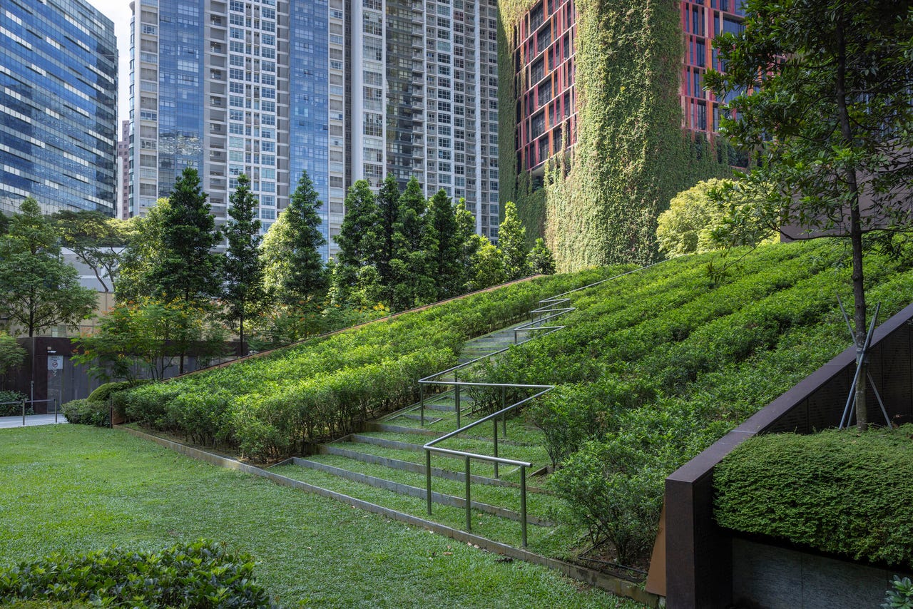 企业草坪理论：数据驱动下的自主增长与 AI 就绪