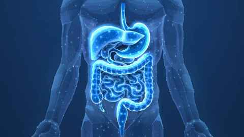 AI 精准诊断肠易激综合征：告别模糊标签，开启个体化治疗新篇章